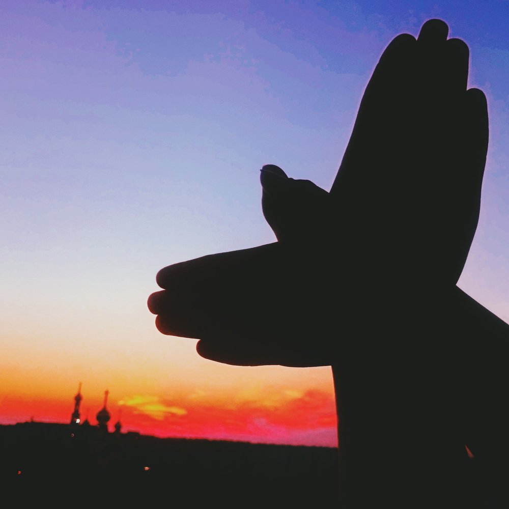 Как птица в небе.