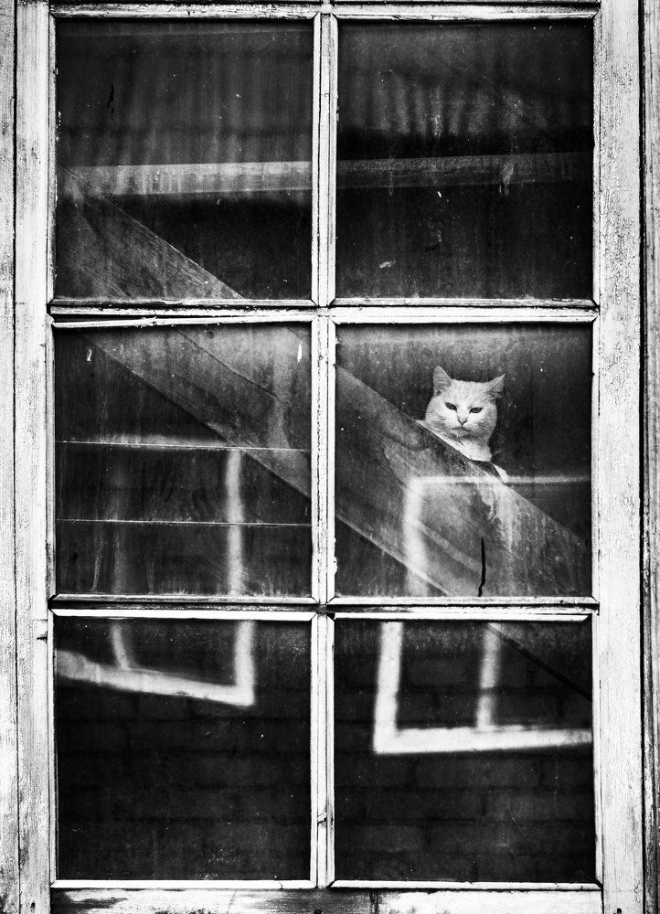 Из серии Про окна...