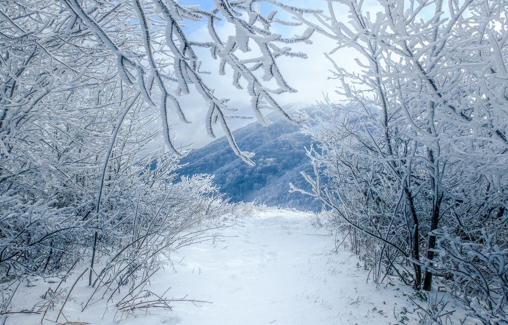 Зимняя сказка