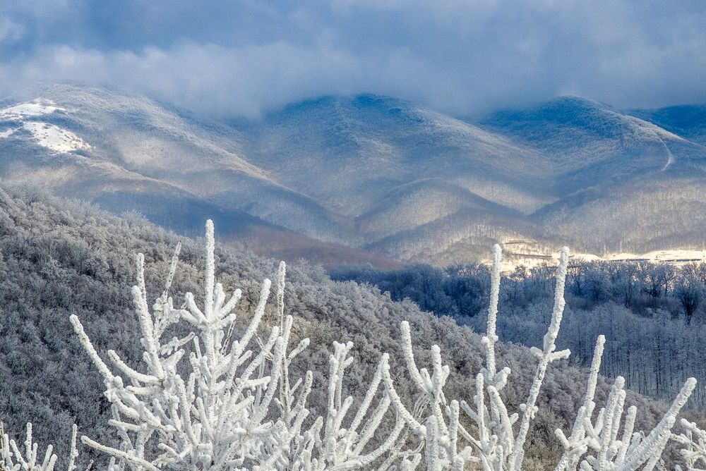 Голубые Горы