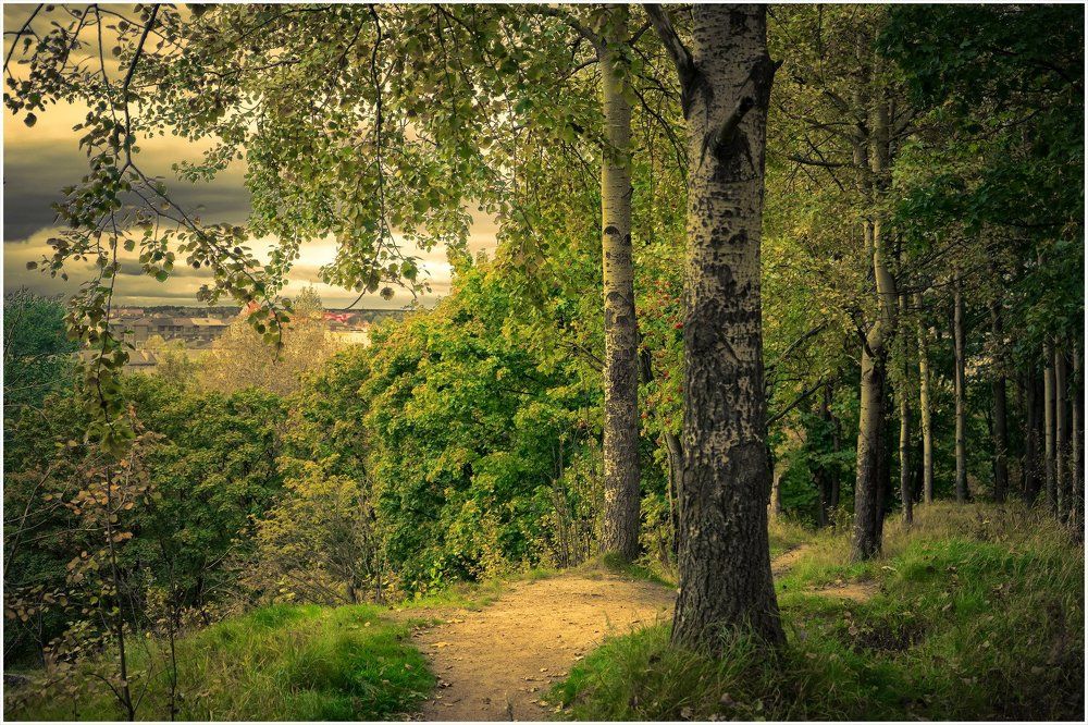 Возвышенности Выборга