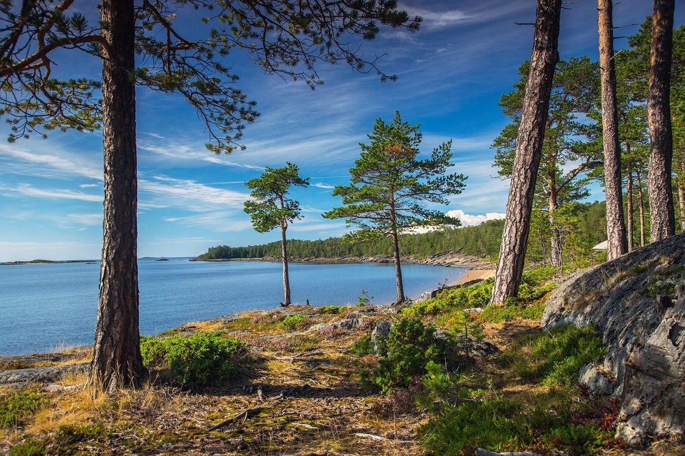 Белое море. Остров Кий.