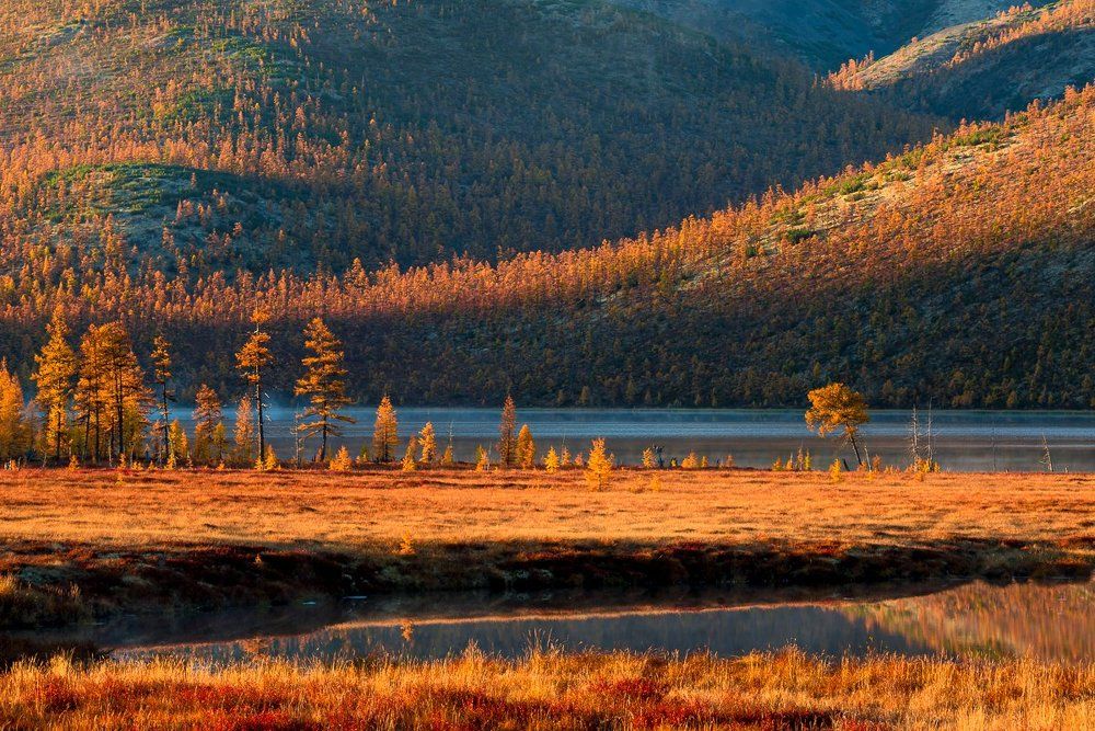 Эликчанские изгибы осени