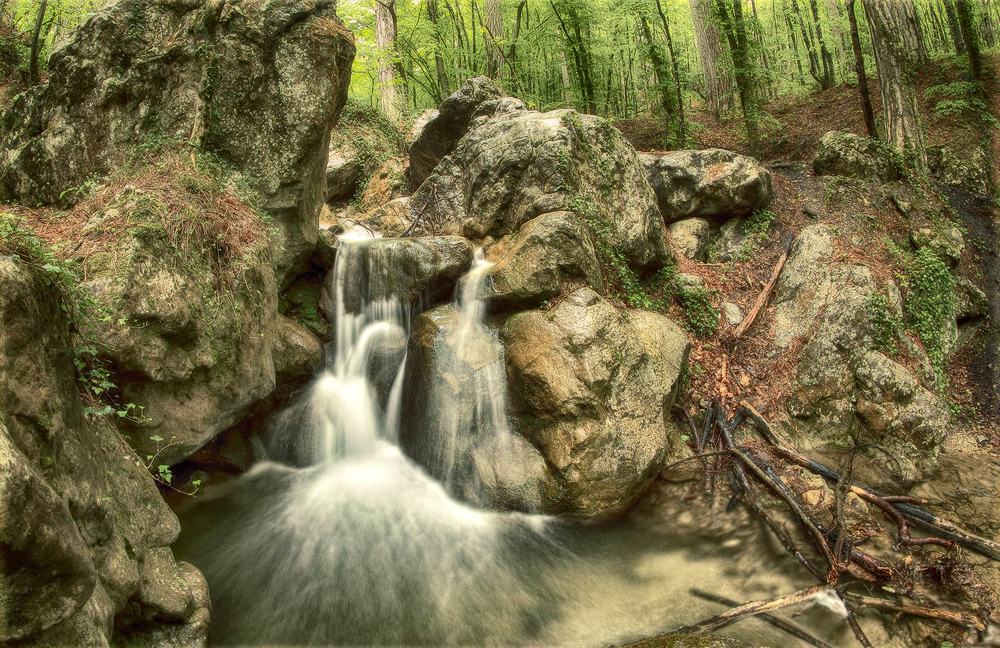 Прогулка по лесам Крыма