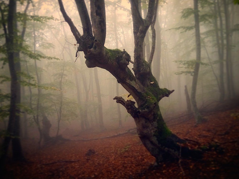 Лесной демон