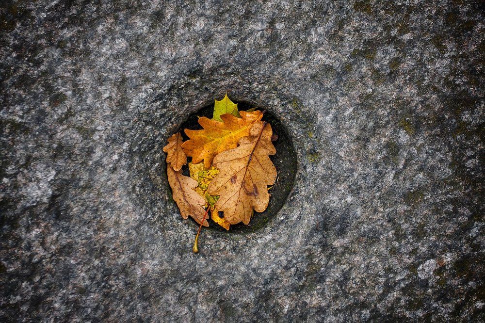 Всё, что нужно знать об осени.