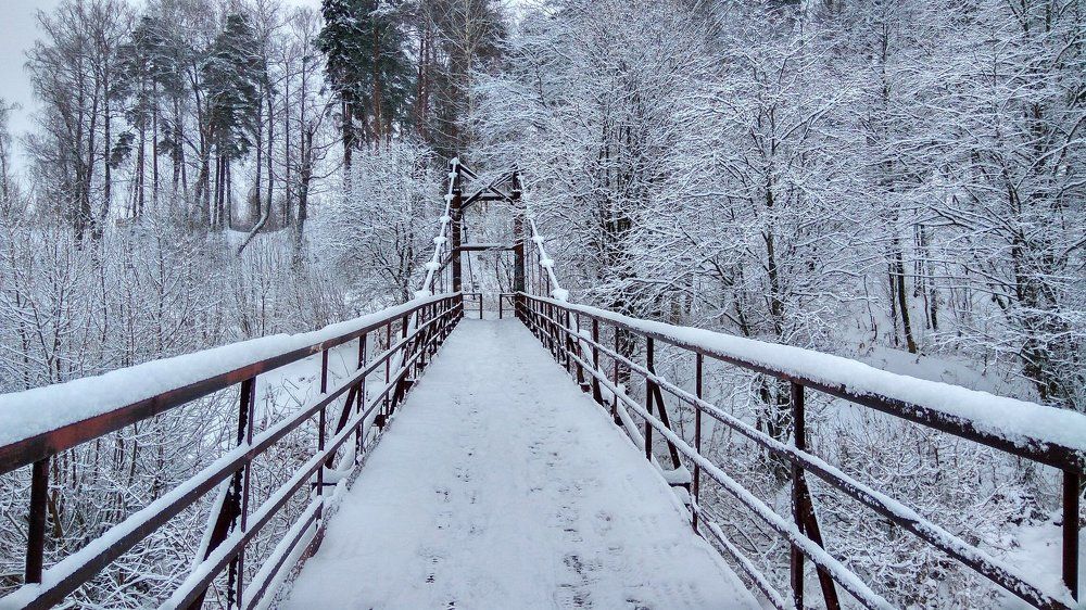 Bridge