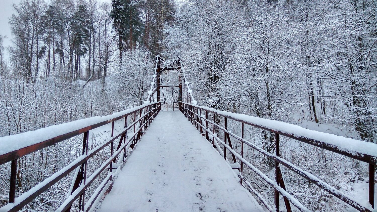 Bridge