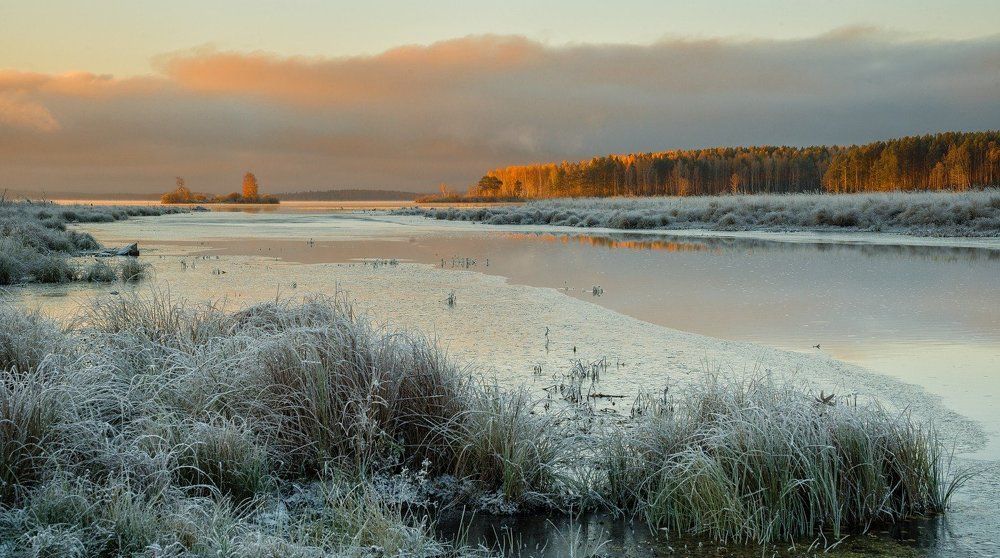 Холодное утро