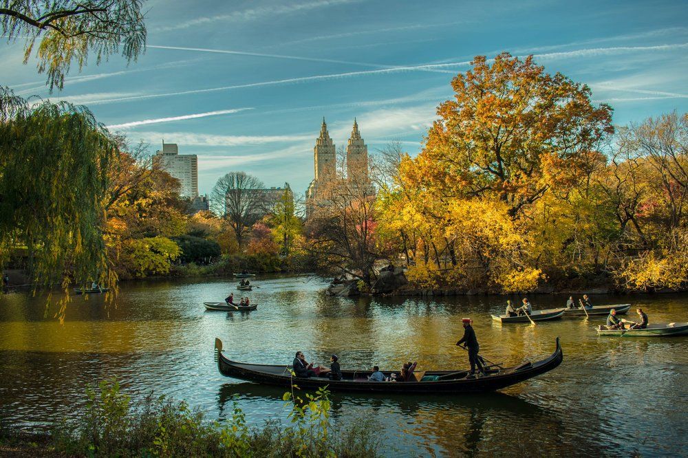 A day in the park.