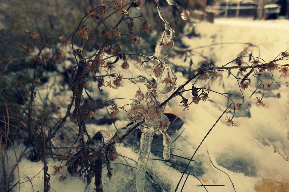 Фотография автора Арканникова Настя