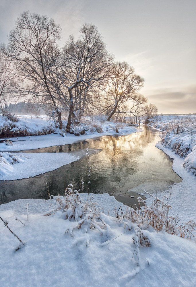 Прекрасный зимний день