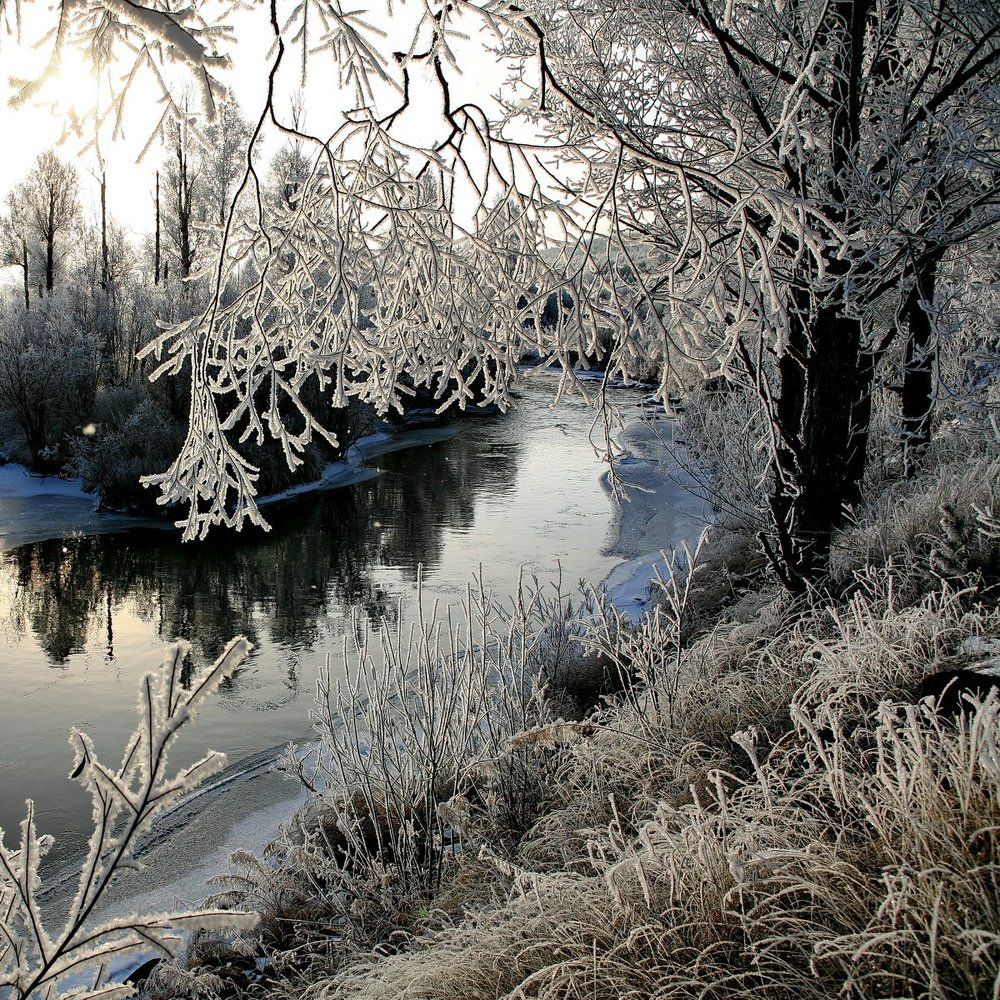 Первые морозы