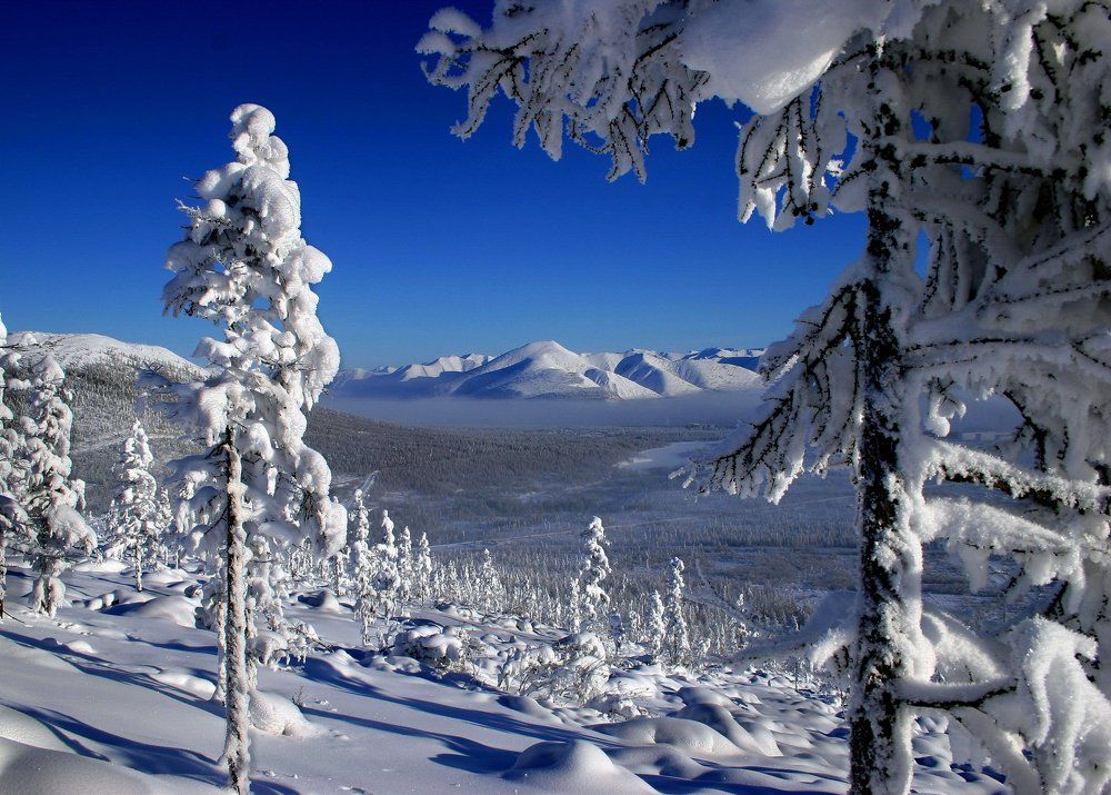 Колымская зима