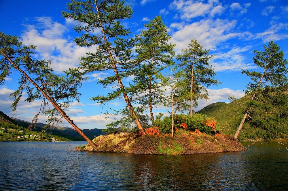 Чудо-остров.