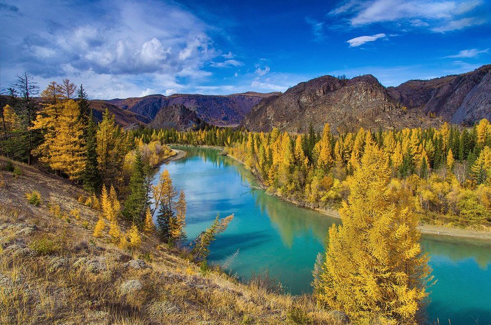 Алтайская осень