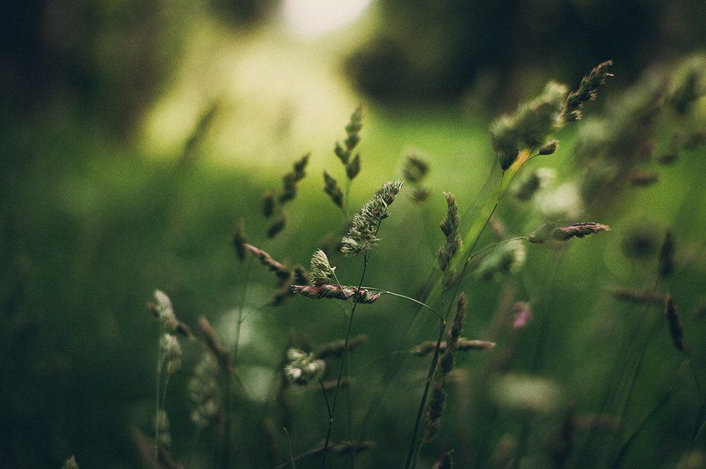 Photograph by Чернякова Анна