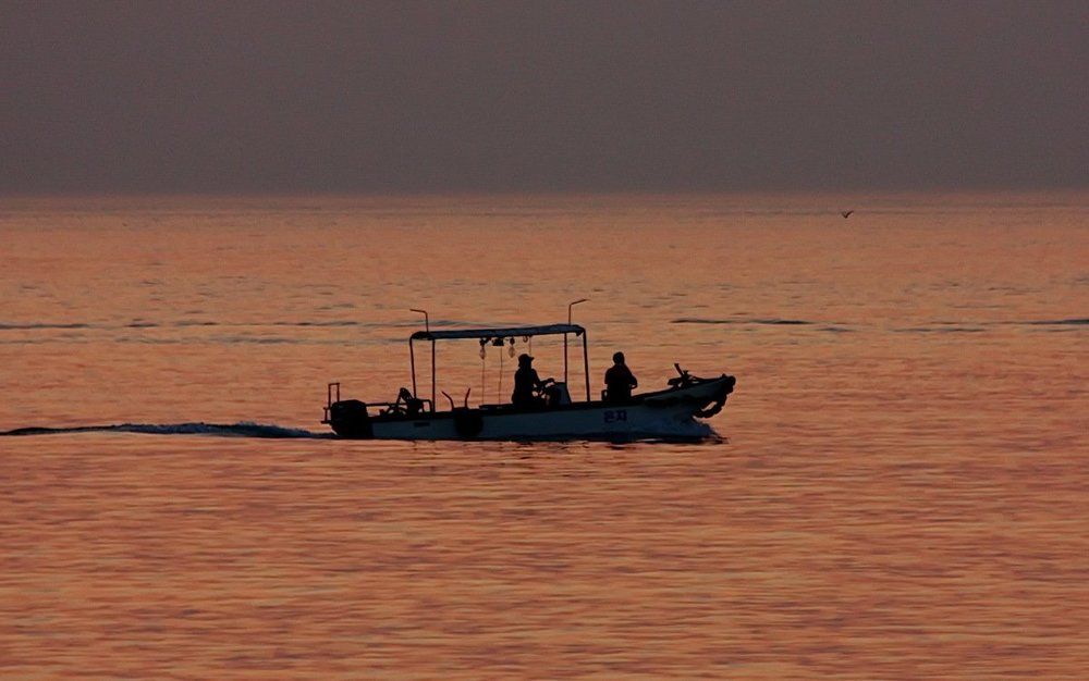 На ночной лов.