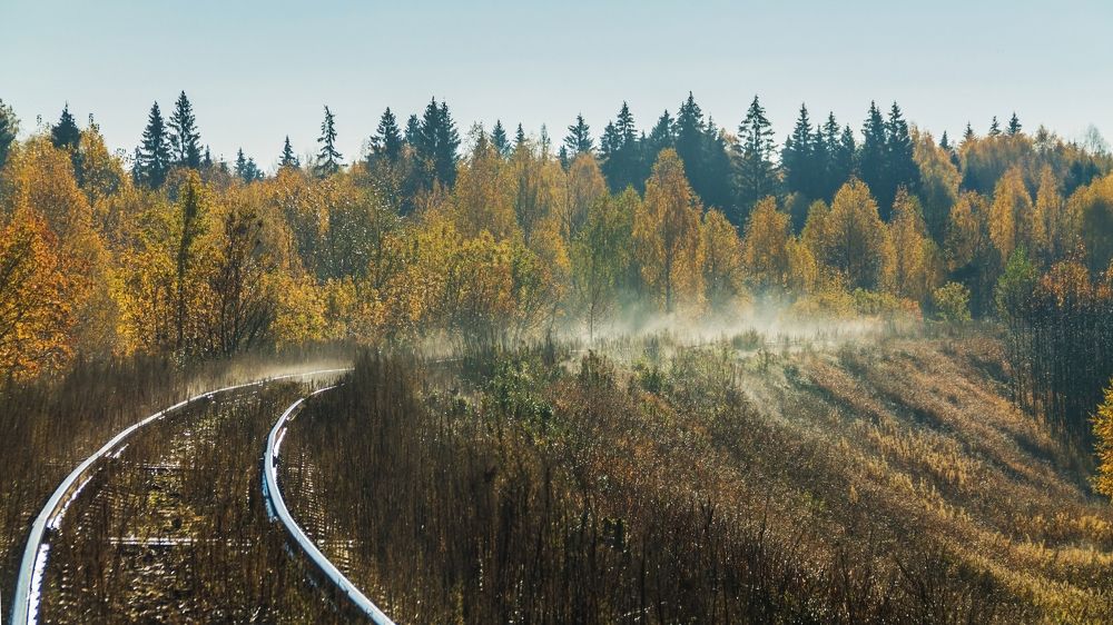 солнце пригрело