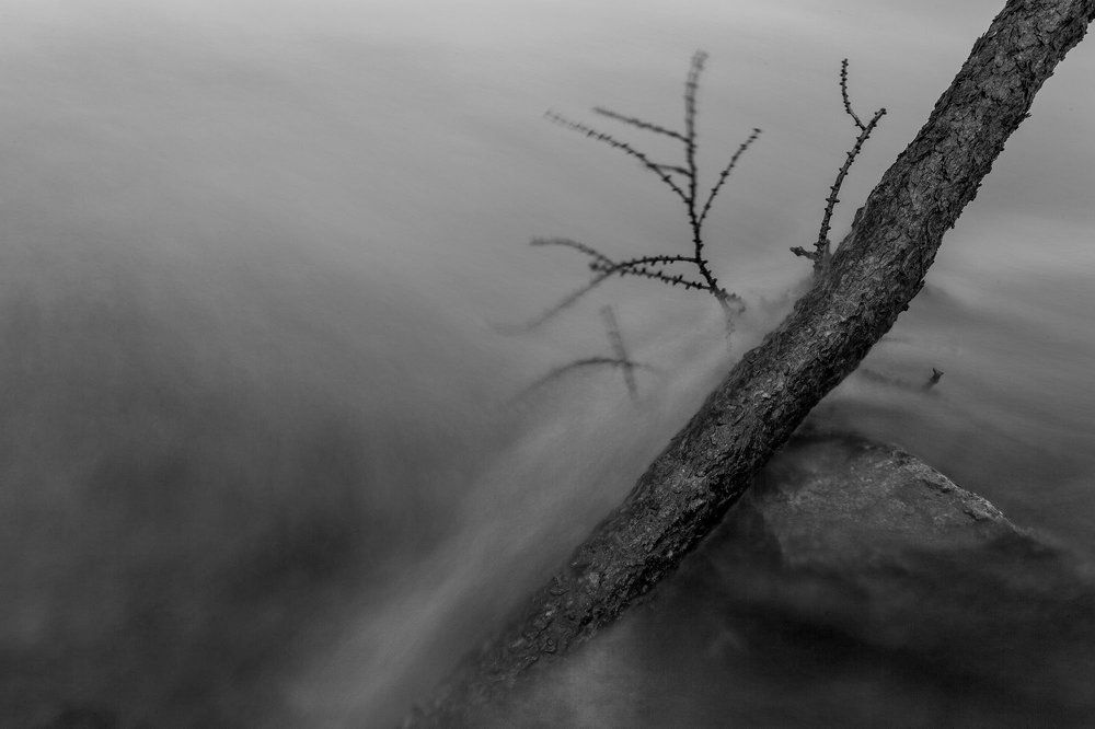 Зеленая речка