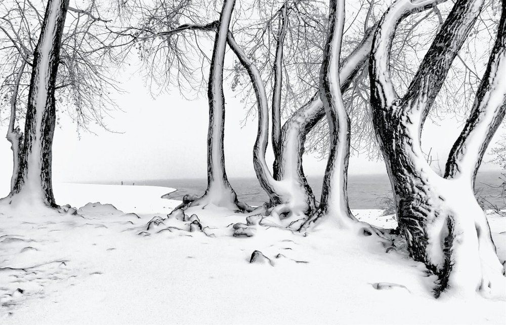 Метель прошла.