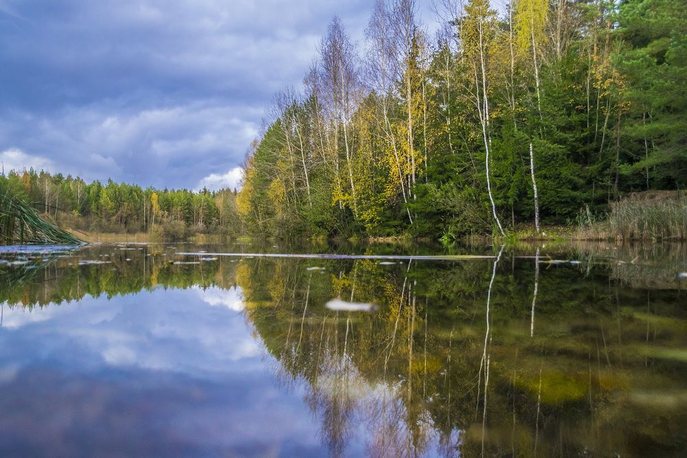 Тишина и покой