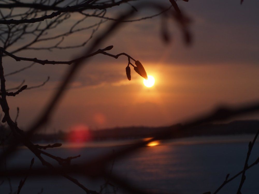 Увиденное вечером