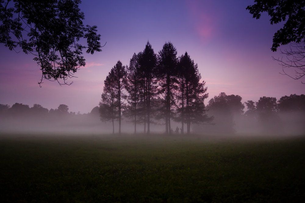 Пикник в тумане