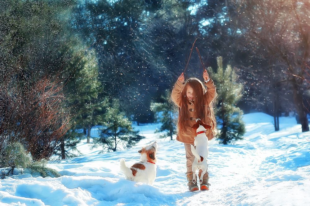 Шалости трех друзей