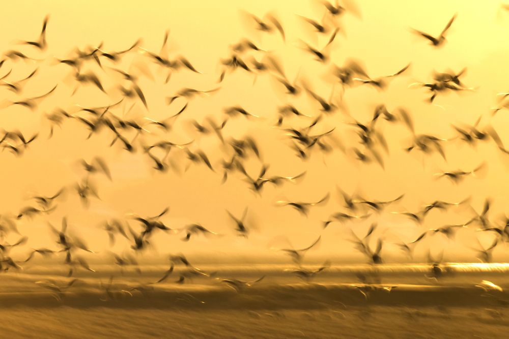 Красивый полет