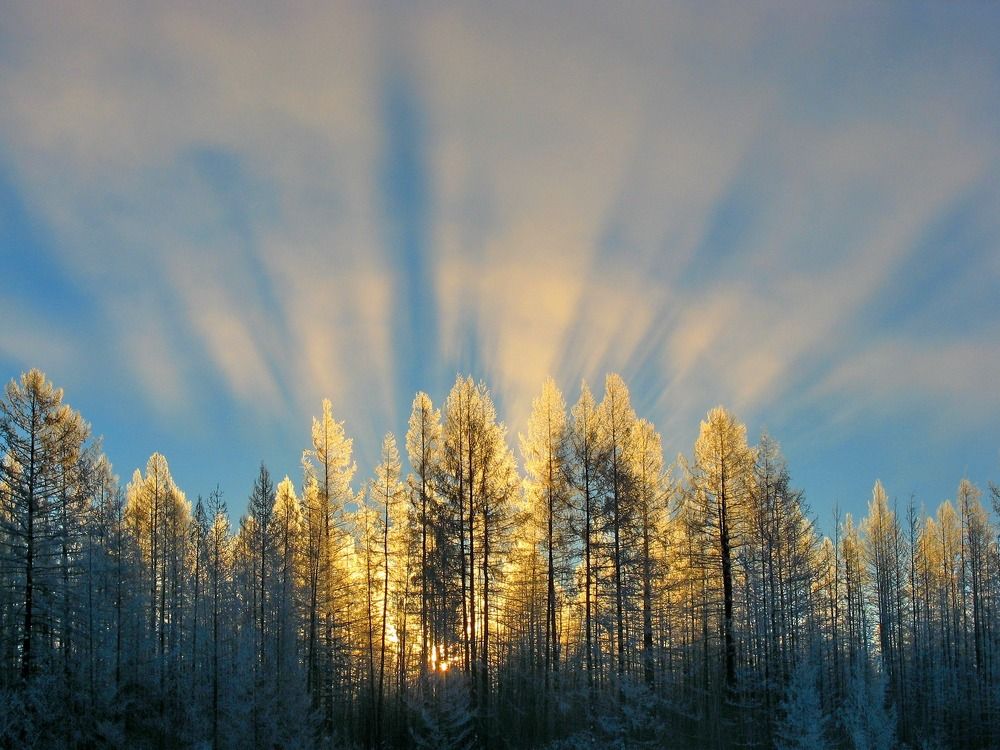 Морозный рассвет