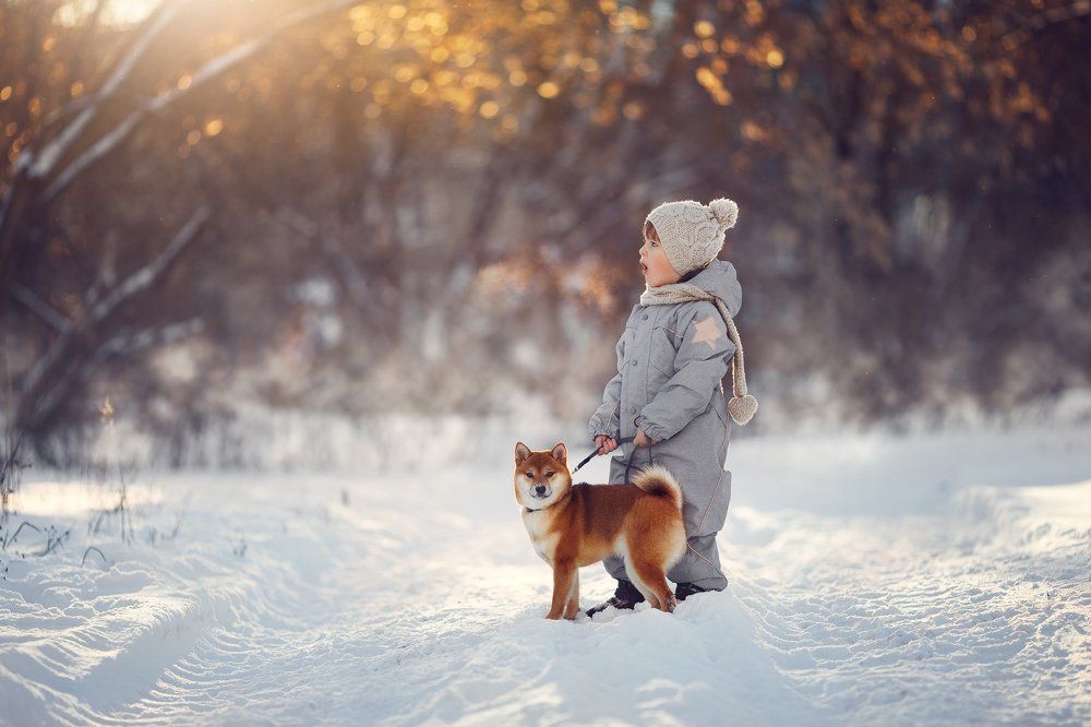 Утренняя прогулка