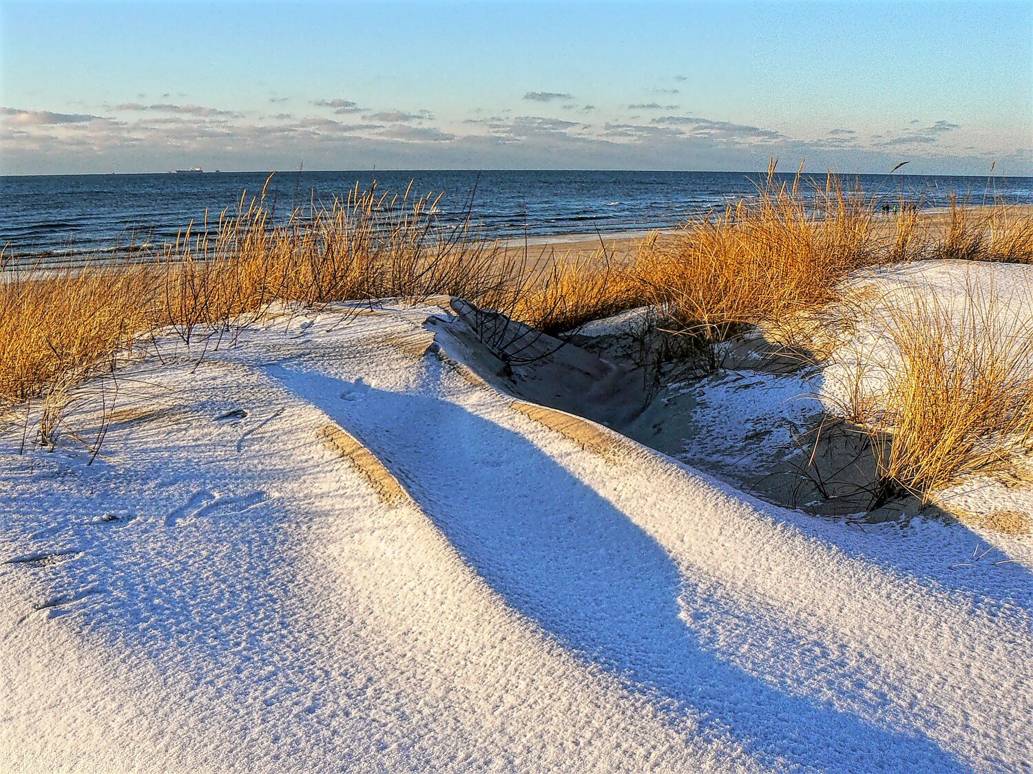 dunes