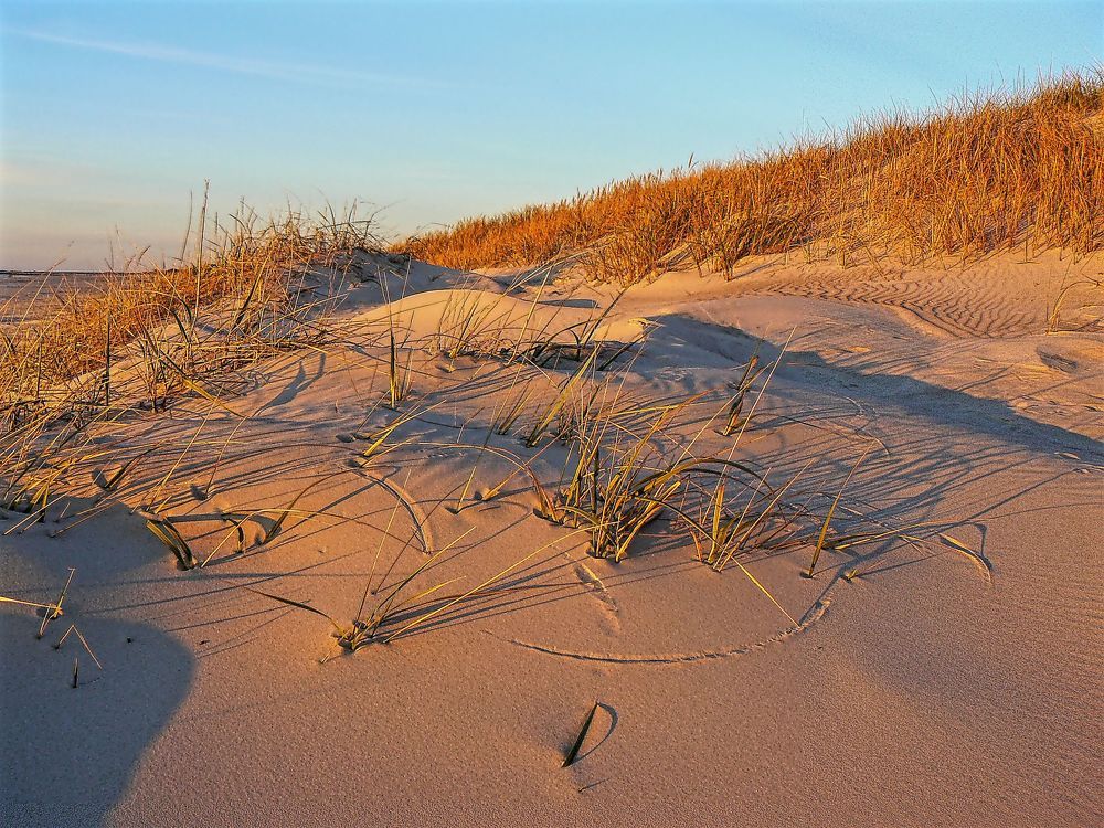 dunes 10