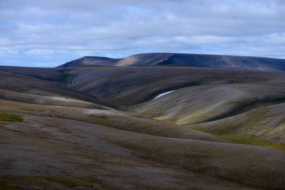 Арктика. Усть-Ленский заповедник.