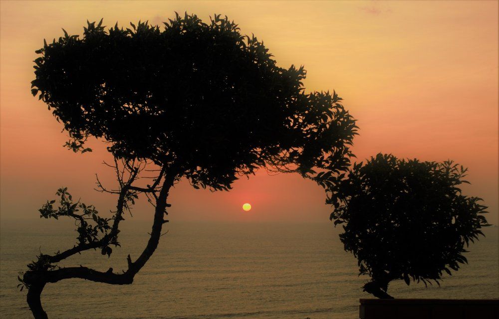 Вечерний романтический поцелуй перед сном на побережье Тихого океана