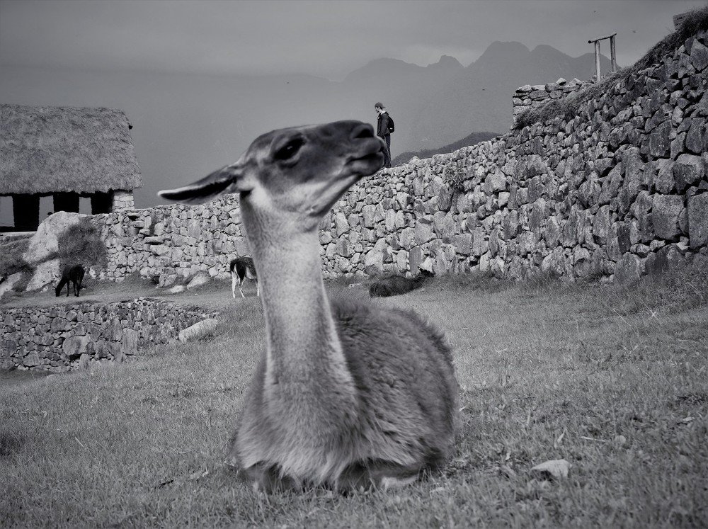 Любовь с первого взгляда...