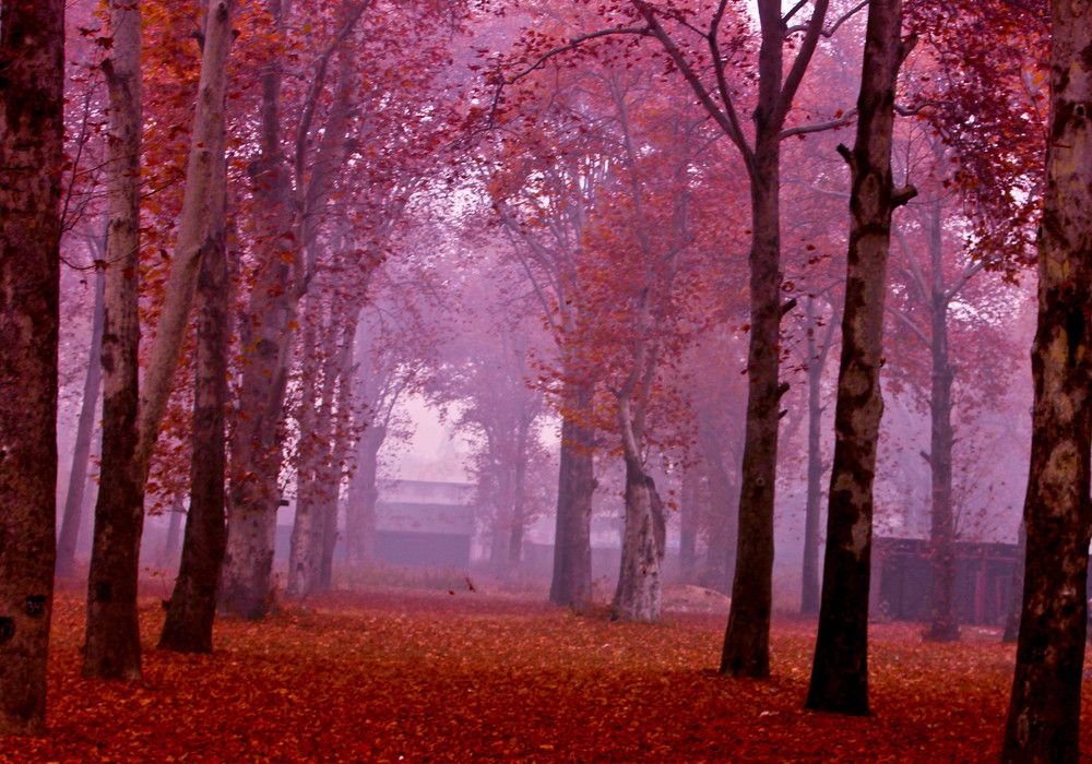 autumn in kashmir