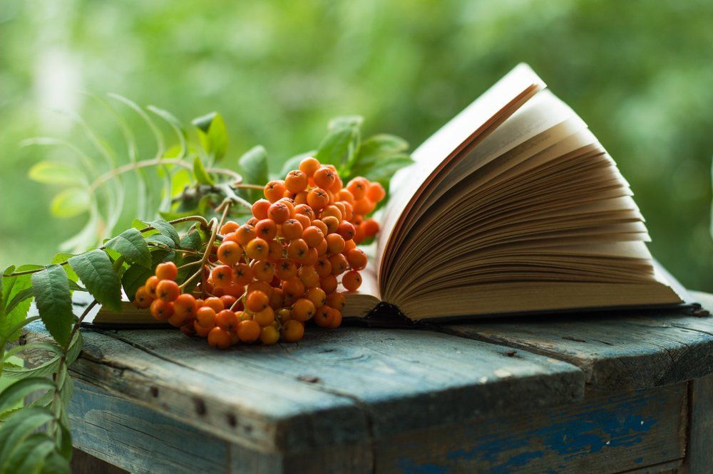 осенние страницы