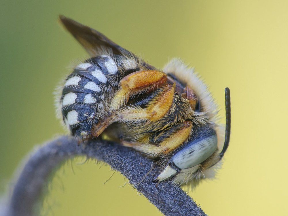 сон по утру