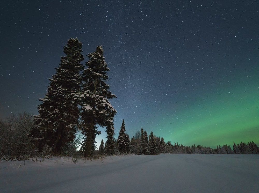 Северная ночь