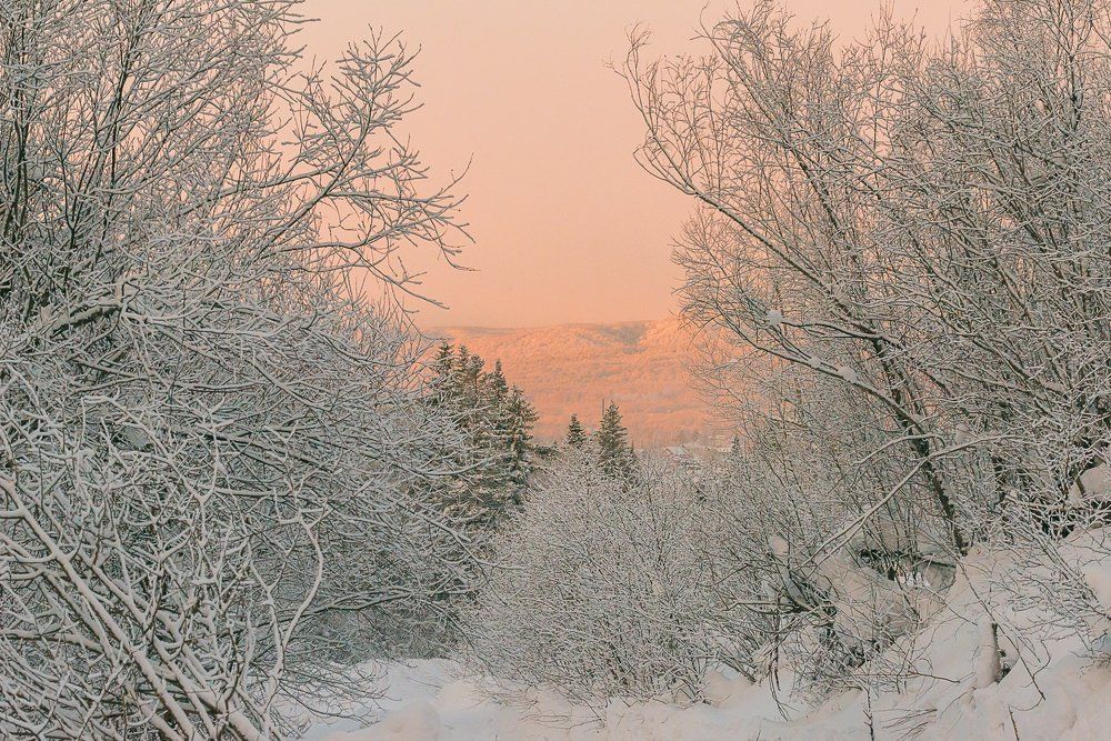 морозное утро...