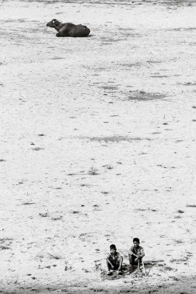 На разных полюсах