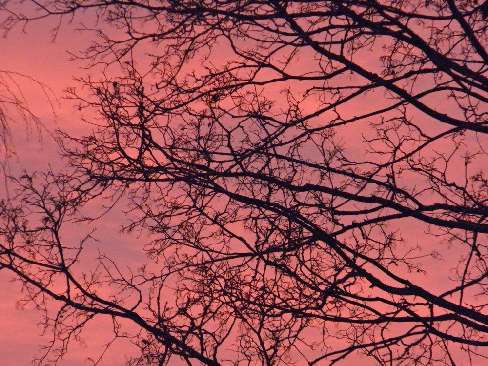 Photo #1560942