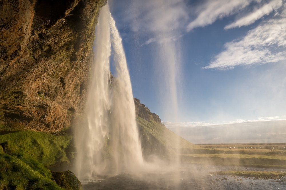 Evening beautiful day