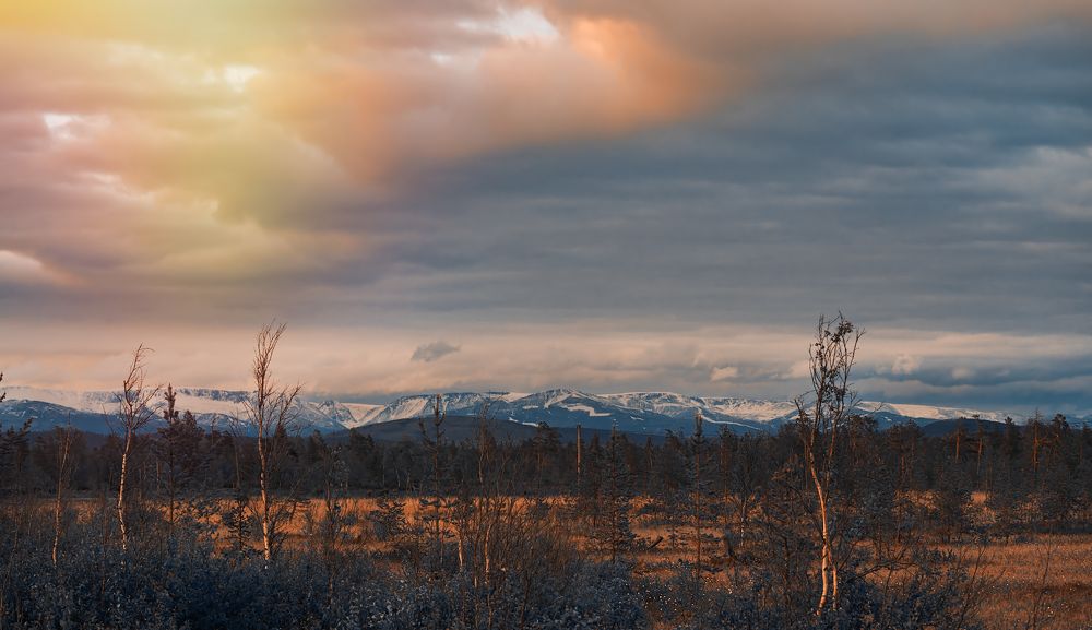 За полярным кругом