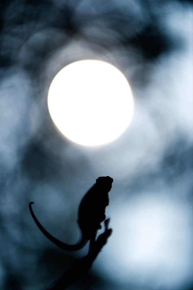 A Pray for a SuperMoon