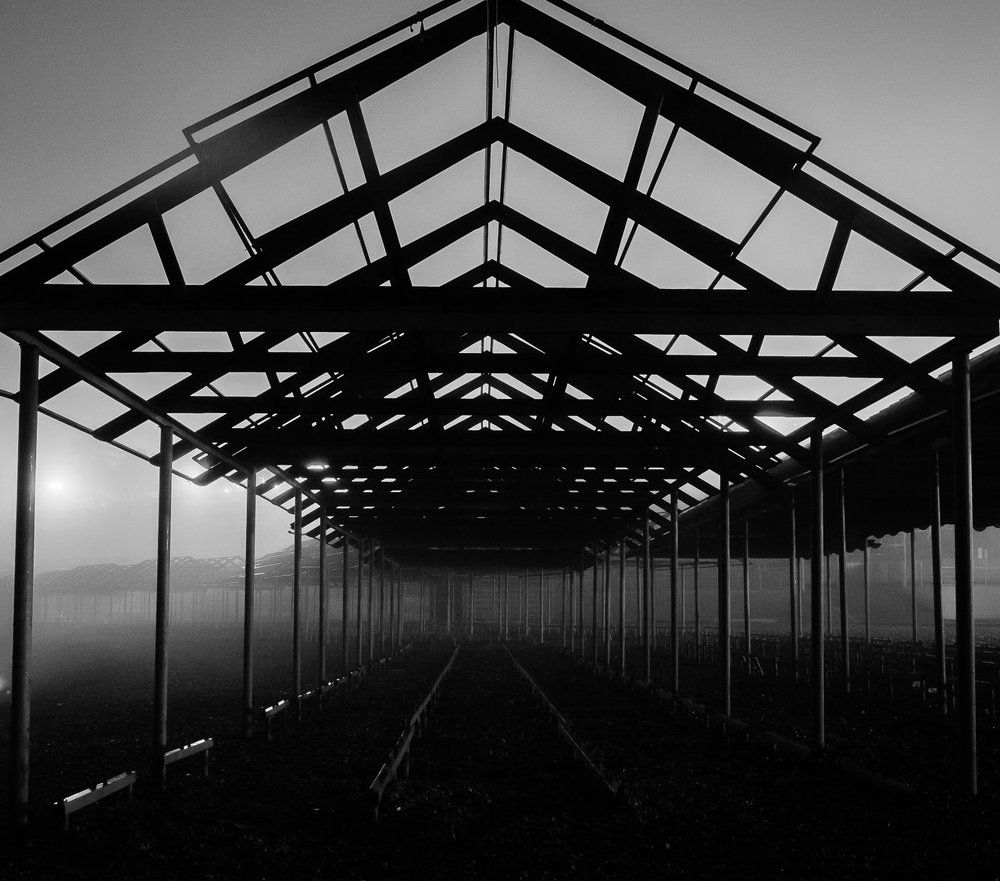 Фотография автора Максим