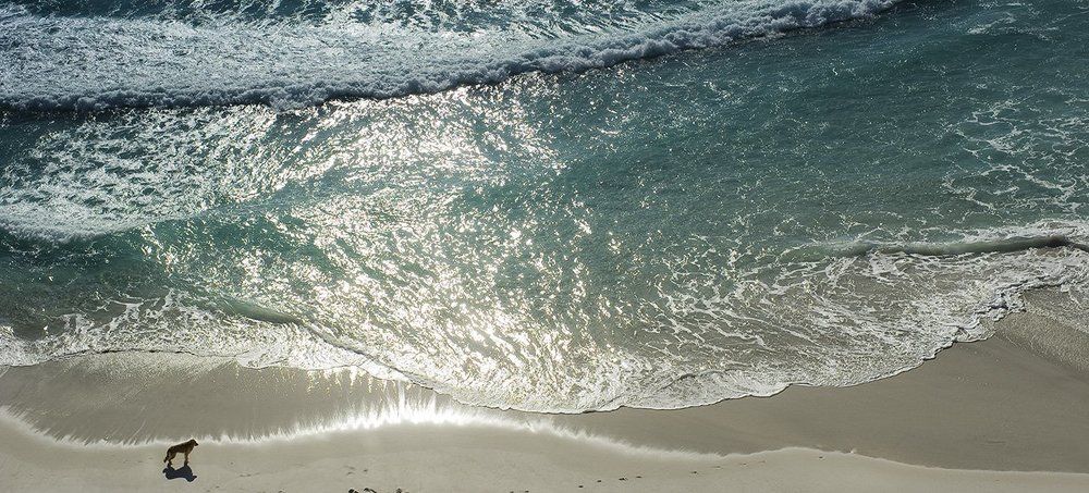 ...самый верный друг