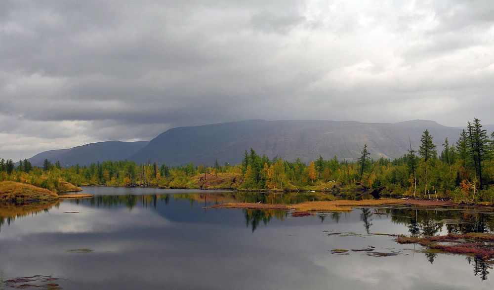 Вот и осень